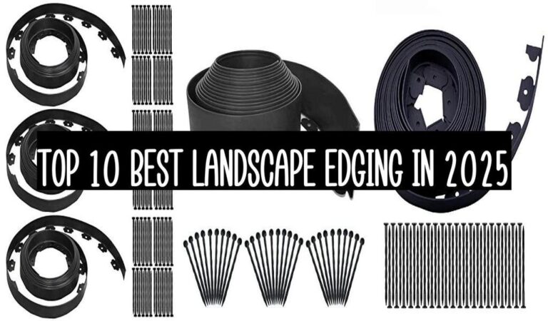 Top 10 Best Landscape Edging In 2025